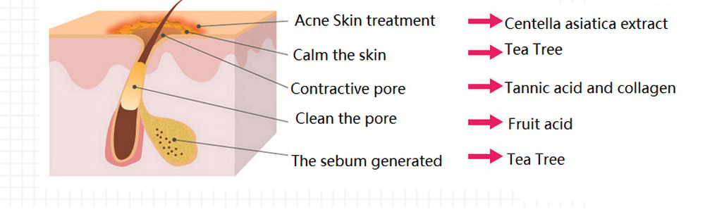 how to clean the pores how to clean the pores